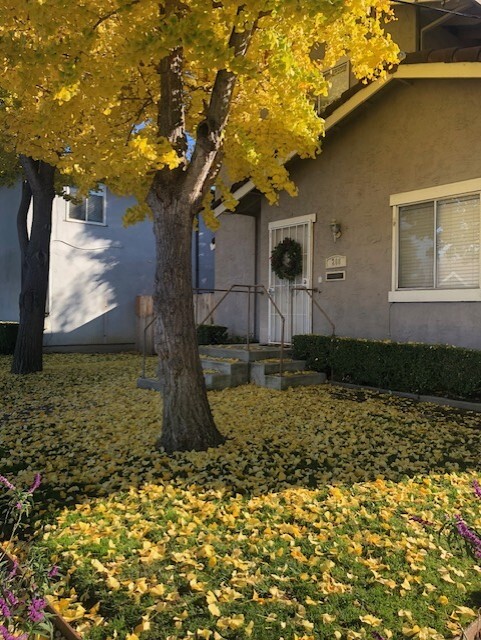 Front of Building - 208 Sunnyside Avenue