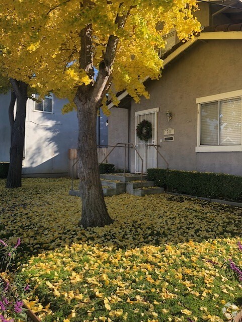 Front of Building - 208 Sunnyside Avenue