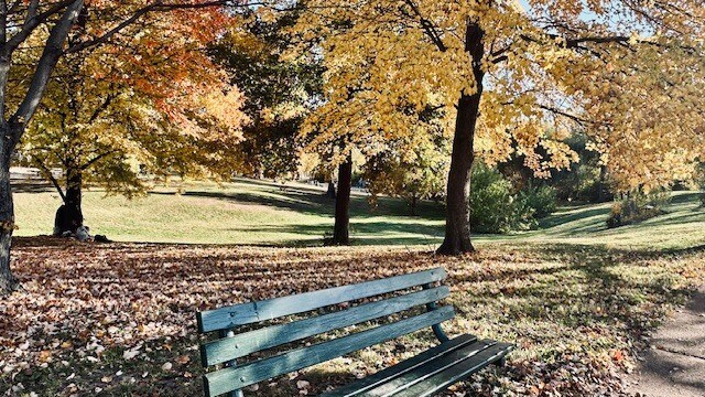 Building Photo - 5515 Chippewa St