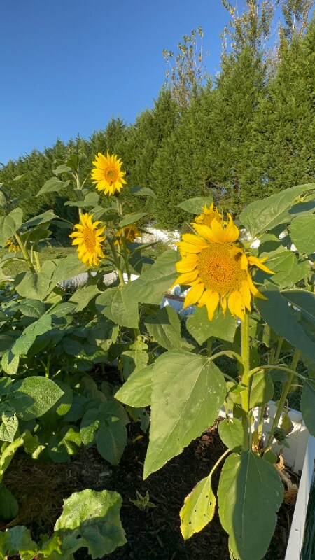 Building Photo - 4740 Canterbury Rd