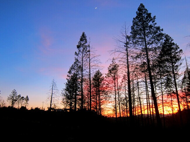 Building Photo - 323 Bodmer Ln