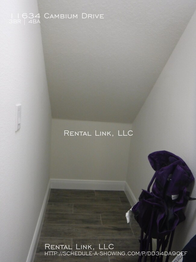 Brand New Luxury Townhouse in Boyette Park 11634 Cambium Dr Riverview