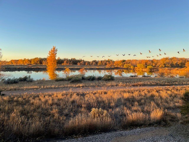 Building Photo - 2613 Cherly St
