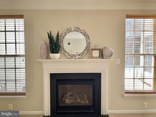 Building Photo - 12313 Tanalian Falls Ln