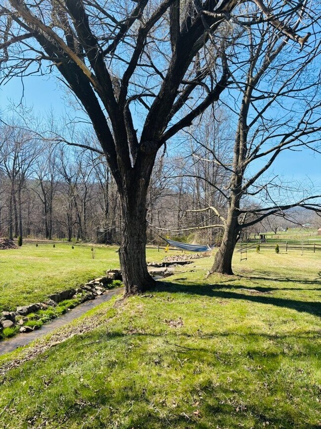 Building Photo - Rare Oasis: 2BR Home with Large Loft Area on 1.5 Acres Bordering National Forest and Fronting Dry...