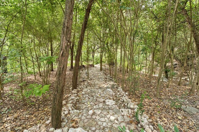 Building Photo - 6507 Cat Creek Trail