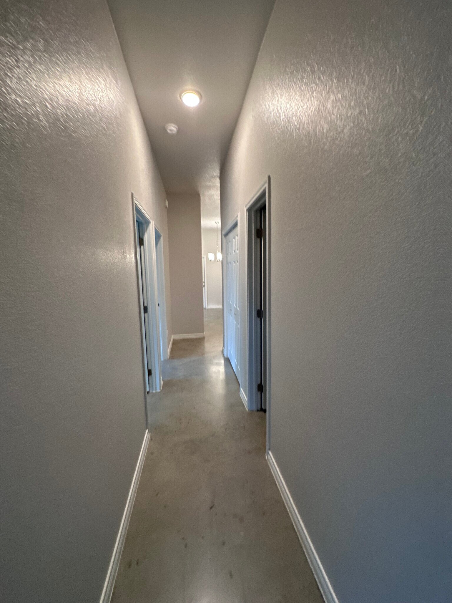 Building Photo - 1239 Liberation Ln