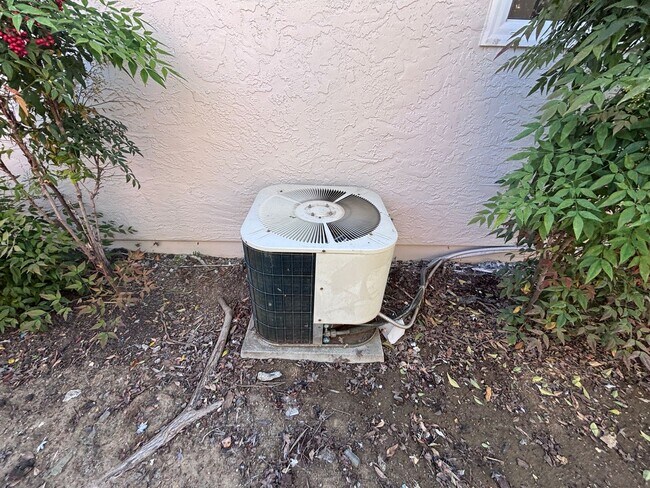 Building Photo - EVERGREEN- Newly Remodeled 3BR/2 BA Home with Spacious Backyard