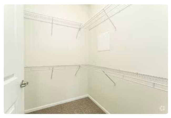 Building Photo - 10532 Belle Creek Blvd