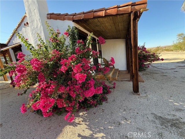 Building Photo - 6586 El Rey Ave