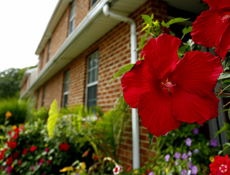 Primary Photo - Sturwood Hamlet Apartments