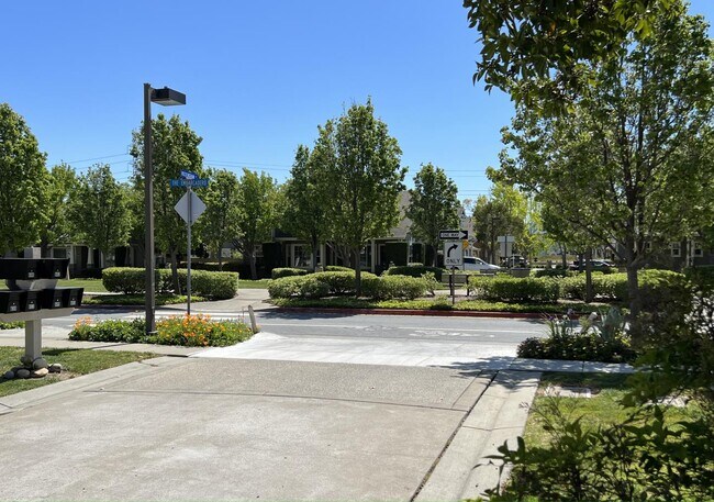 Building Photo - 603 Rockingham Ln