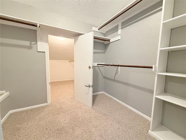 Building Photo - 2902 Canis Cir