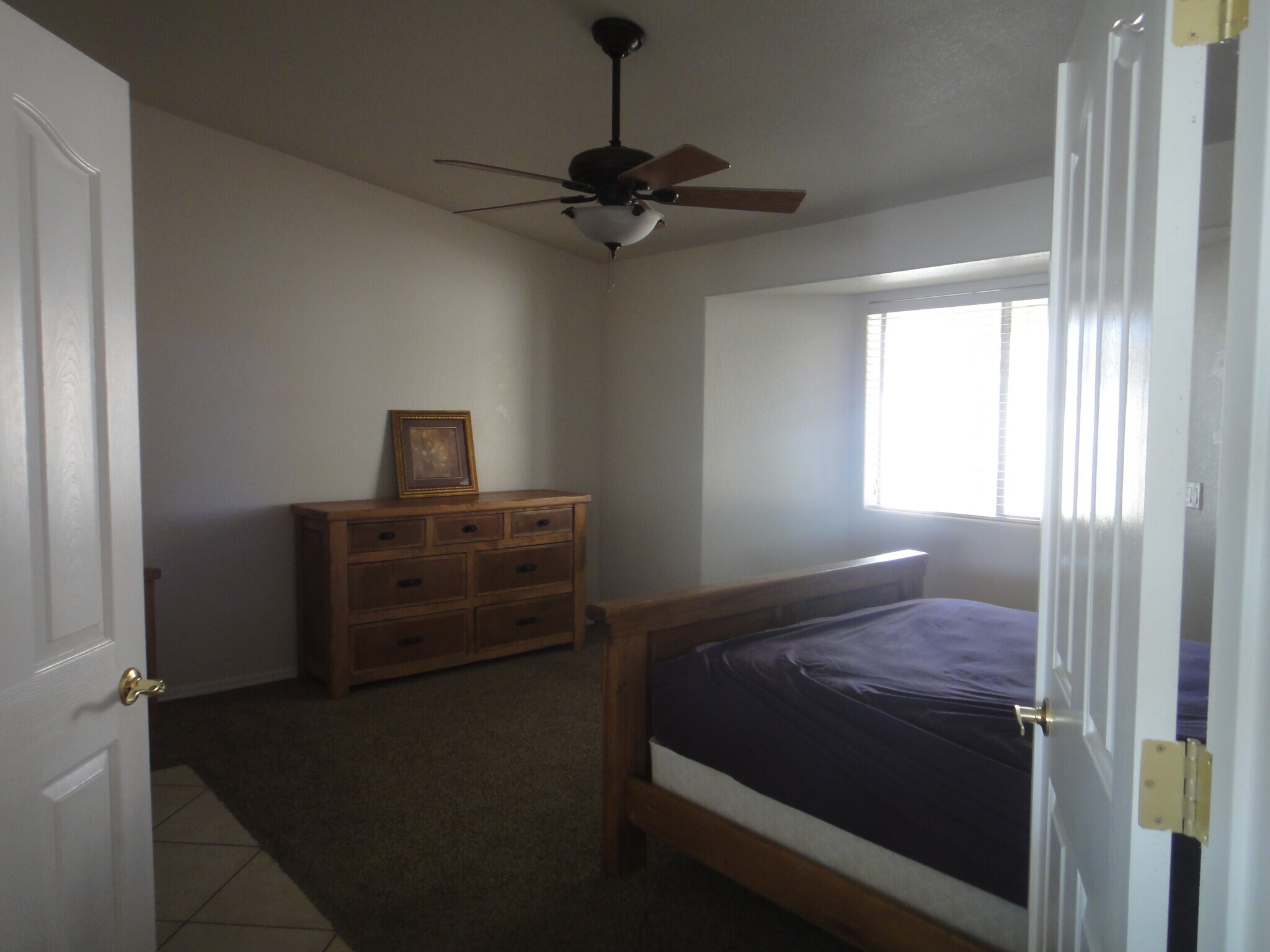 Building Photo - 3894 Bluegrass Ct