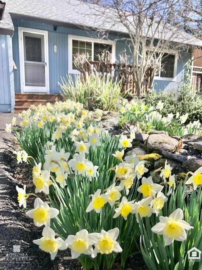 Building Photo - Inviting 3BD/2BA Home in Glen Ellen