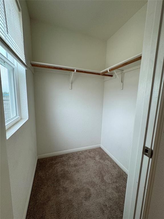 Building Photo - 161 Satsuma Ln
