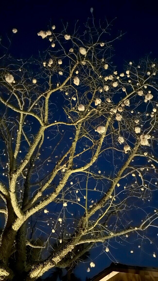 Building Photo - 924 SW 11th St