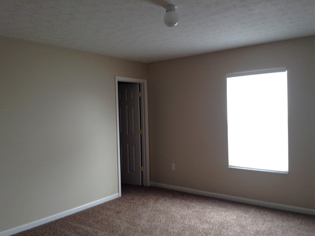 Building Photo - 928 Delhi Dr