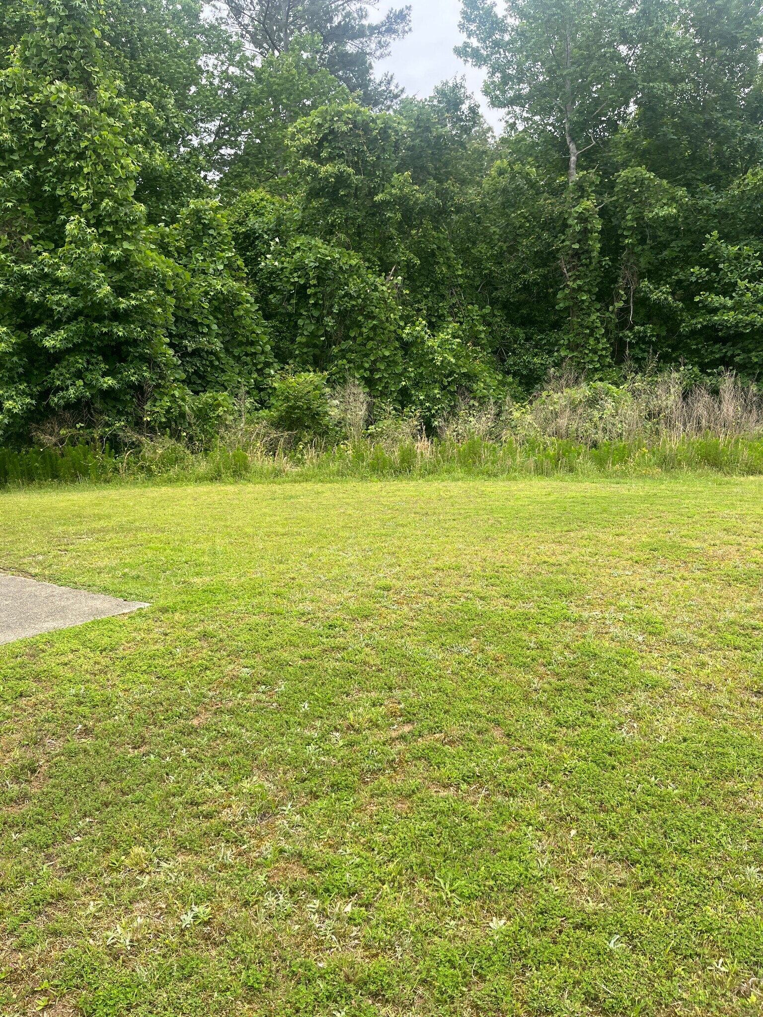 Building Photo - 2530 Sandown Ct