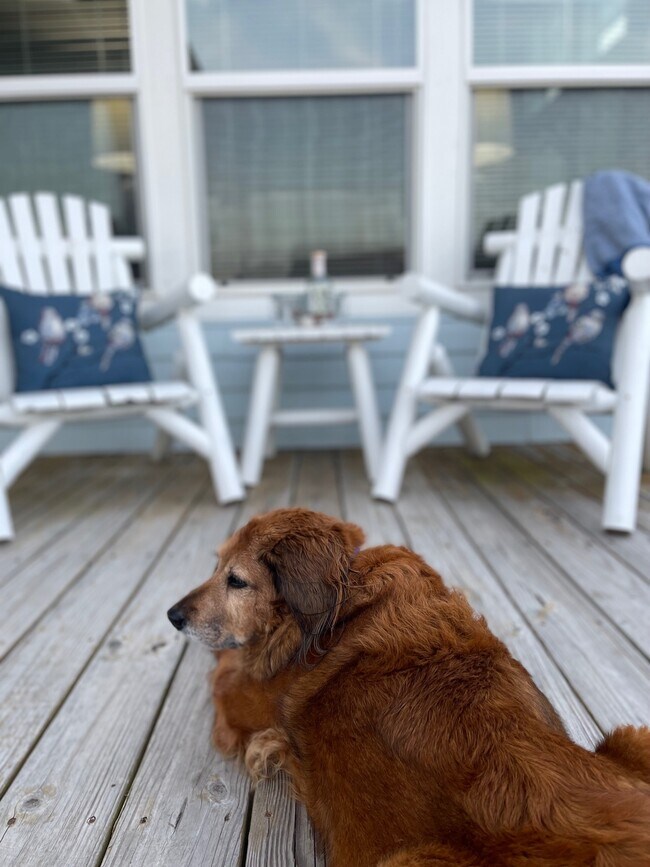 Building Photo - 971 Kent Dr