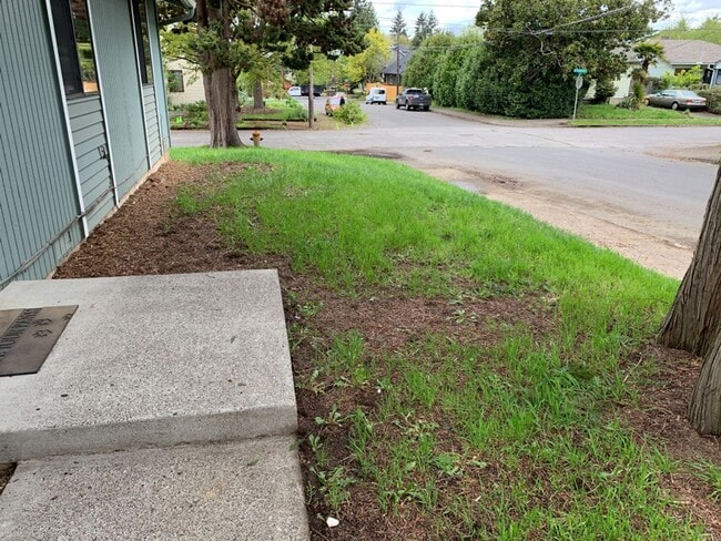 Building Photo - 3 Bed 2 Bath House~ Kenton Neighborhood~ Large Trees plus  W/D Hook Ups!