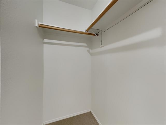 Building Photo - 4844 Kingfisher Ln