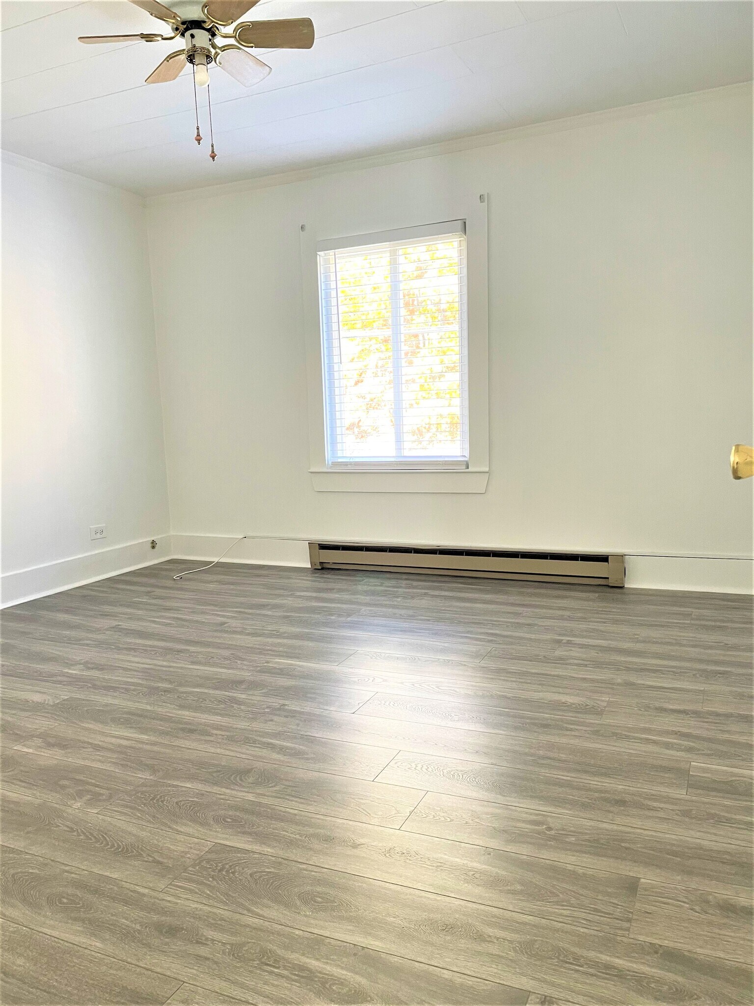 Building Photo - 210 Mount Vernon Ave