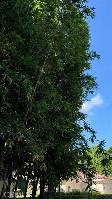 Building Photo - 2117 Colby Ave