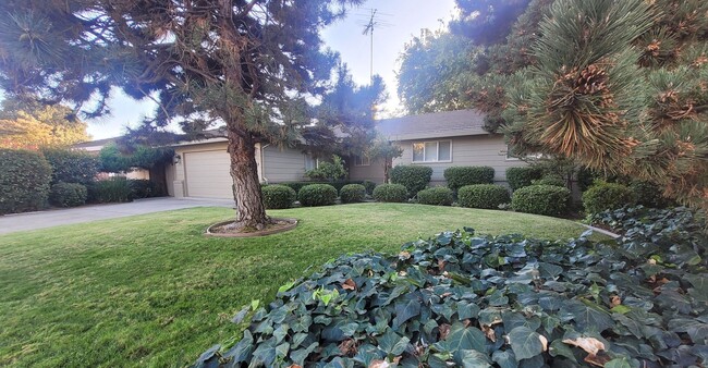 Primary Photo - Beautiful home with manicured yards. Lands...