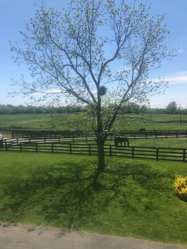 Building Photo - Kentucky mansion overlooking horse farm wi...
