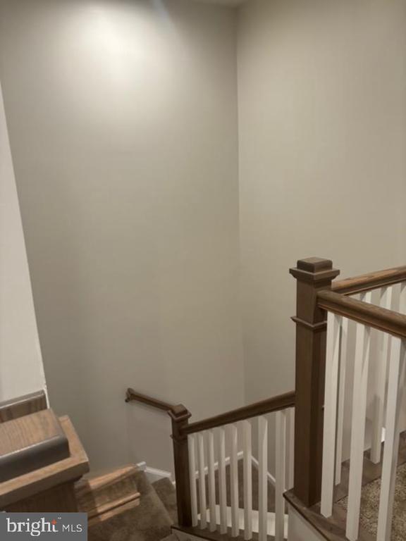 Building Photo - 11033 Blackburn Cove Ln