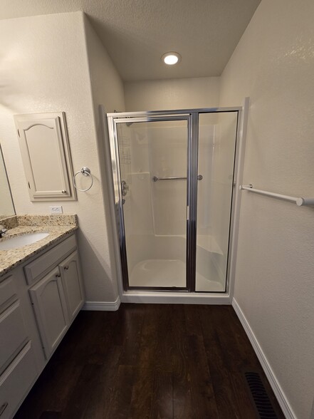 Primary bath walk-in shower - 726 W Tyrolean Ct