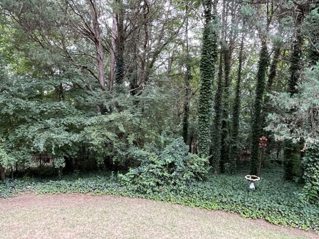 Building Photo - Refreshed 4 Bed home in Ballantyne