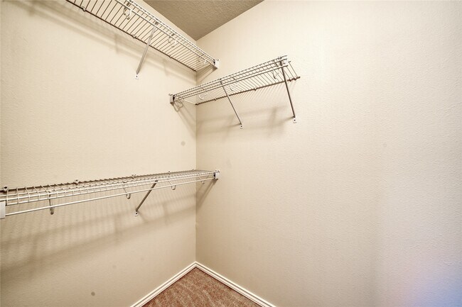 Building Photo - 6319 Burgess Heights Ln