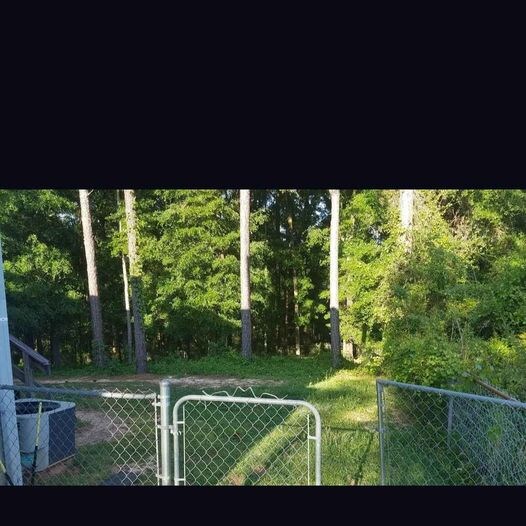 Building Photo - 153 Candlebrook Dr