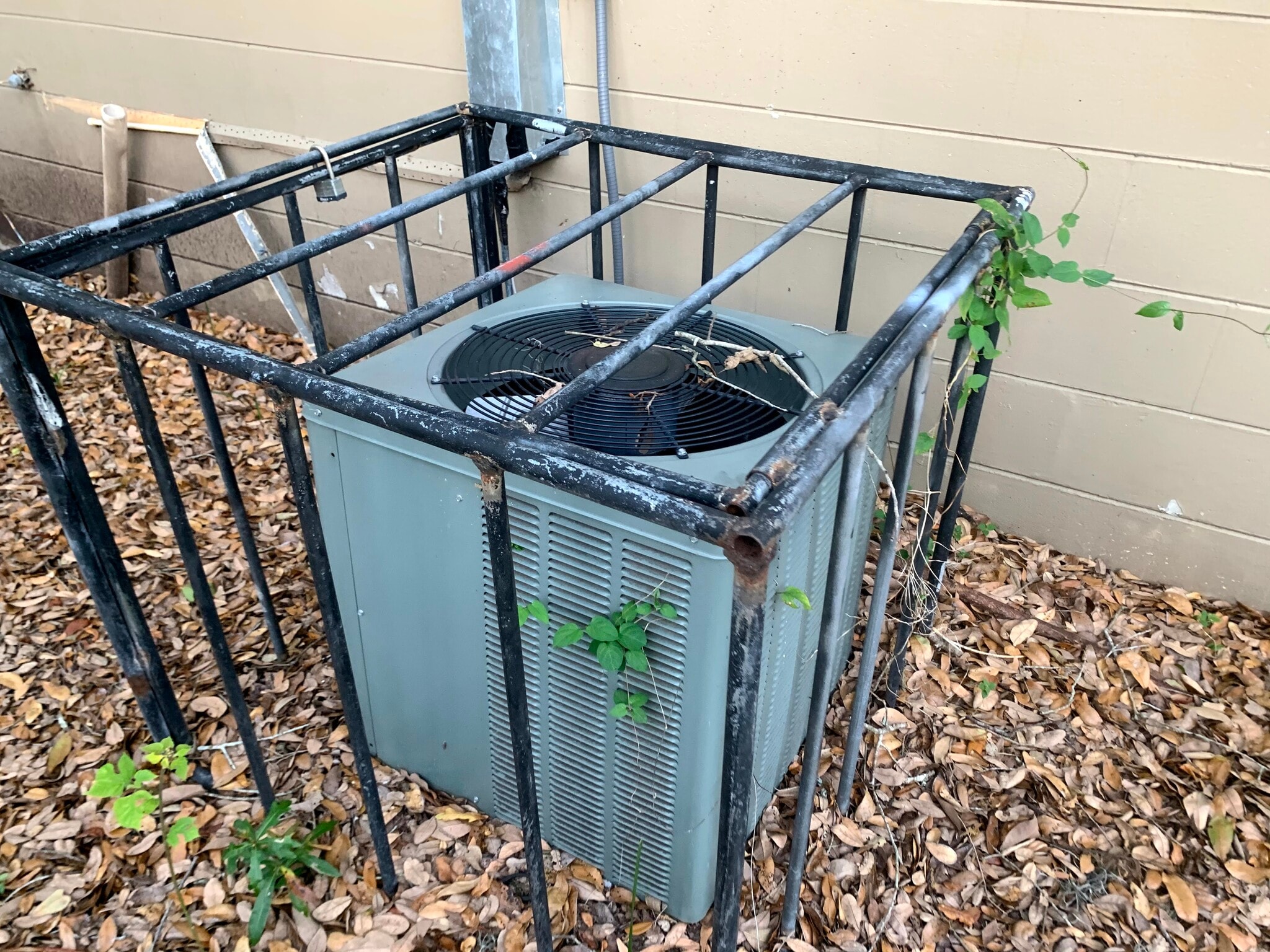 Building Photo - 10008 N Lantana Ave