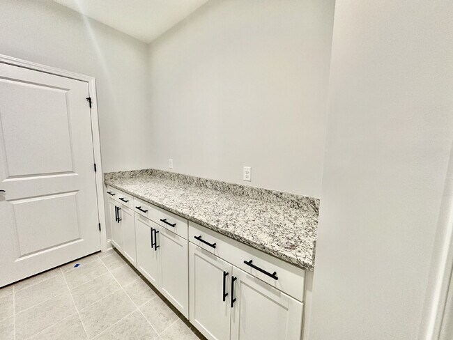 Building Photo - Spacious New Home in Sun City!