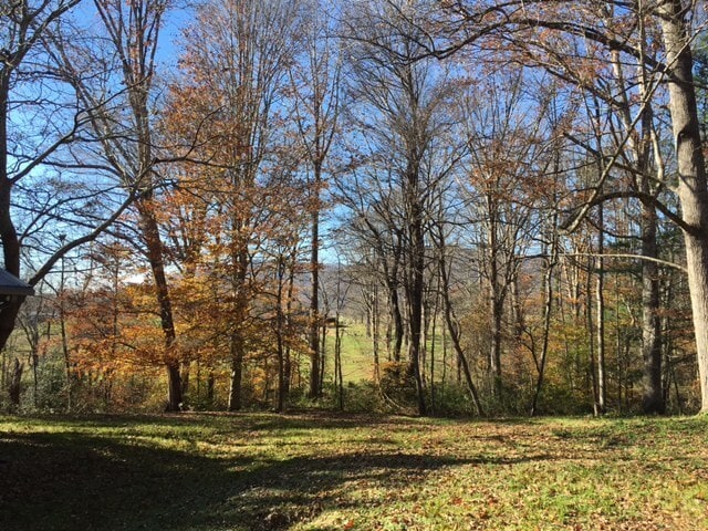 Building Photo - Cozy 3 Bedroom 1.5 Bathroom Home Nestled In Black Mountain