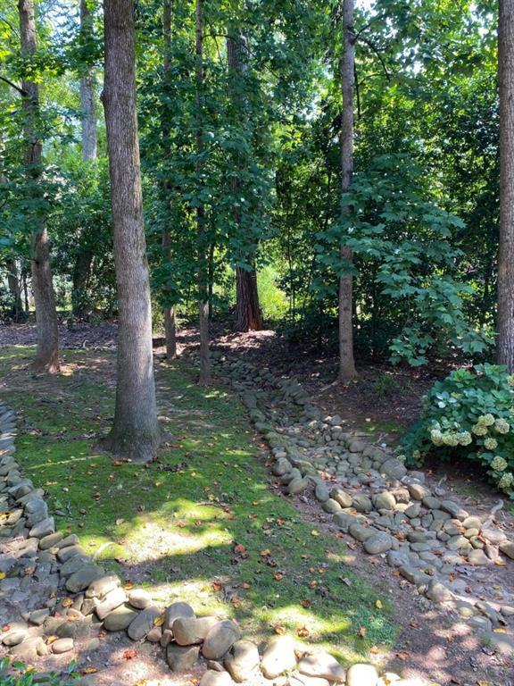 Building Photo - 459 Atlanta Country Club Dr