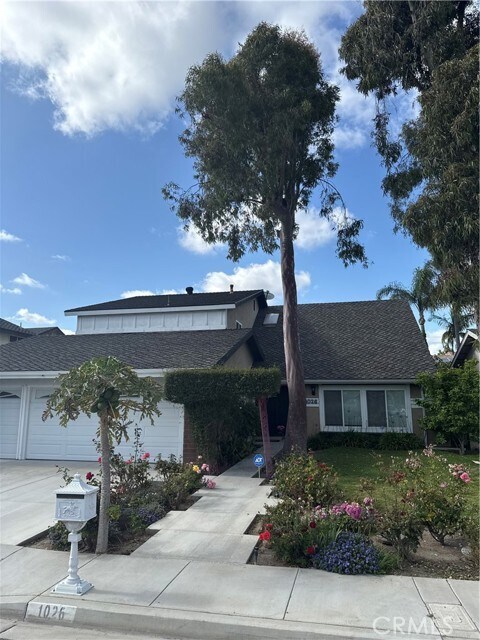 Primary Photo - 1026 Damascus Cir