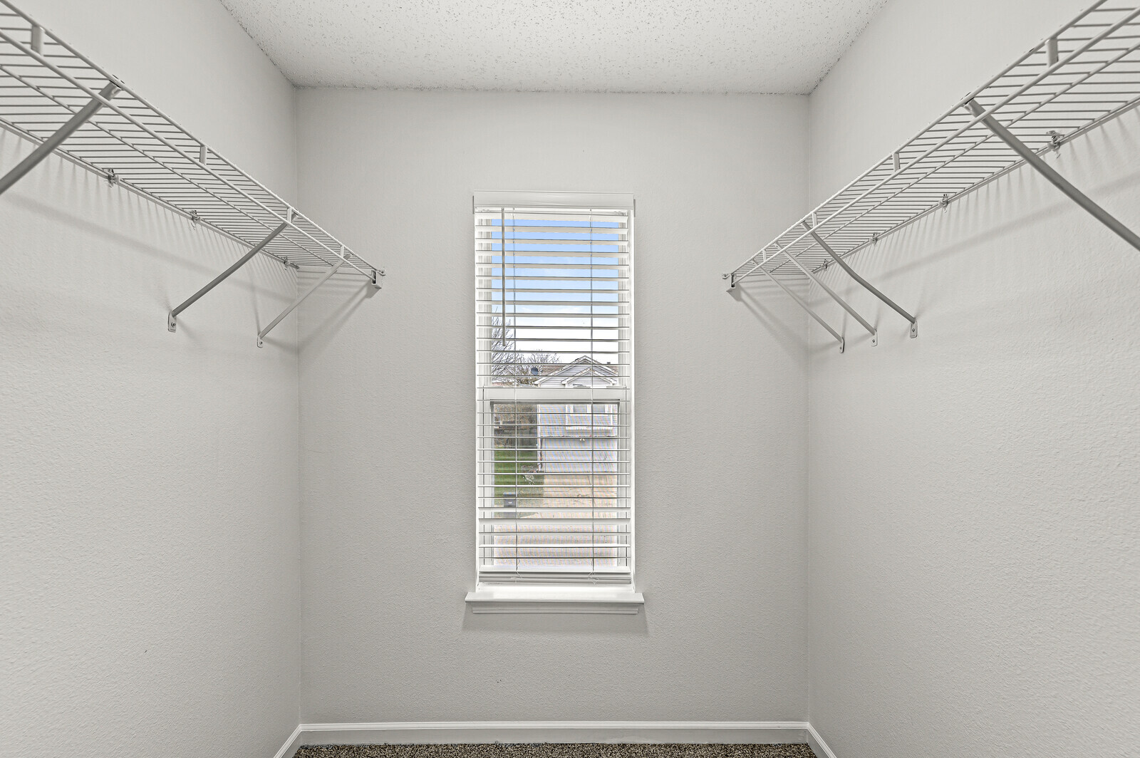 Building Photo - 1316 Freemont Ln