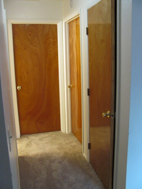 Beautiful new wood doors to all rooms - 5520 Bowden Loop