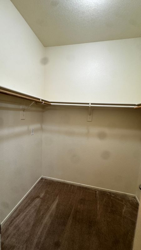 Building Photo - 5419 Woodard Ridge Dr