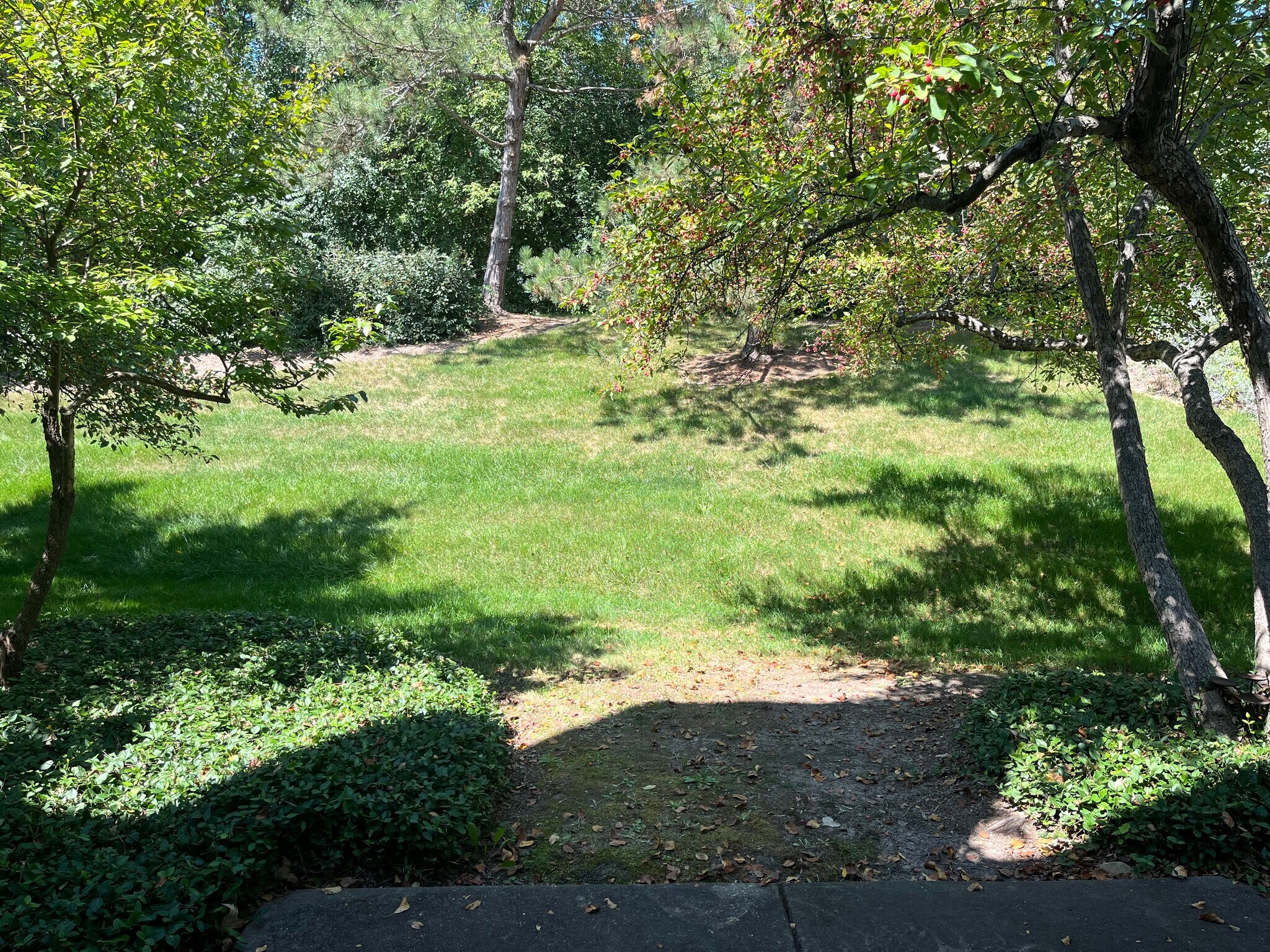 View from patio - 378 White Oak Ln