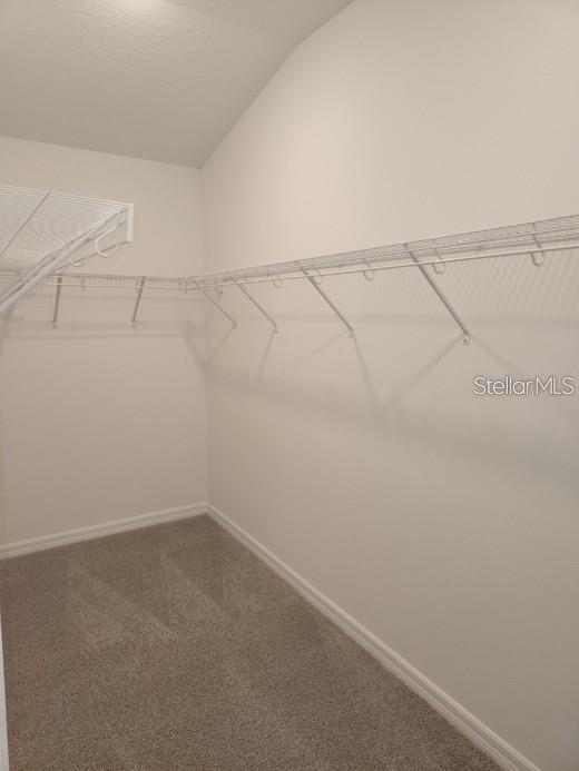 Building Photo - 4004 Via Sienna Cir