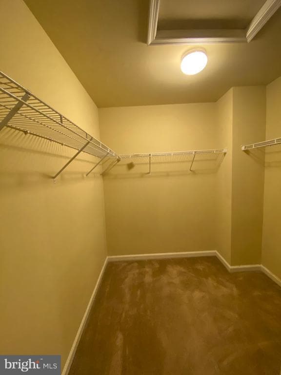 Building Photo - 104 Gretchen Ct