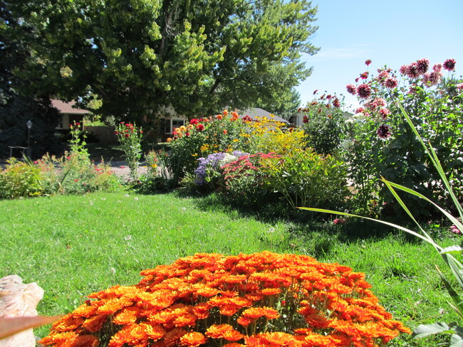 Perennial flowers bloom from early spring through frost. Spring is marked with the joy of over 400 spring blooming bulbs. - 28 James Circle