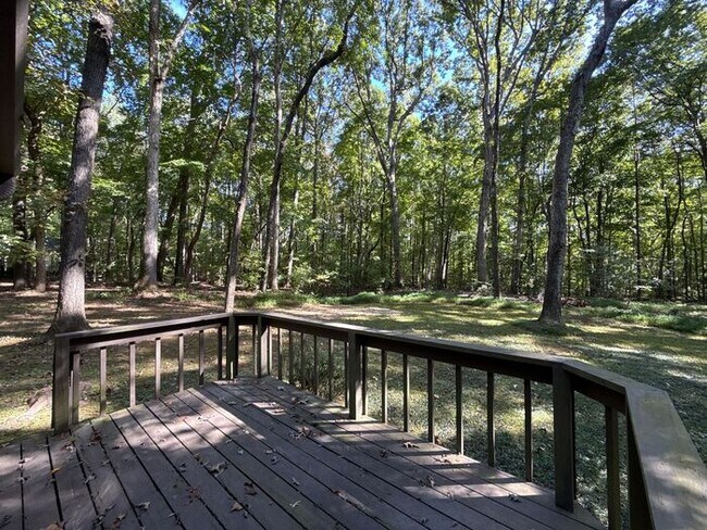 Building Photo - Rain Forest