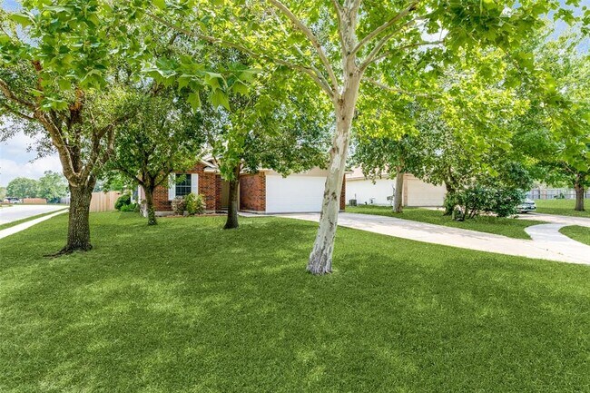 Building Photo - 101 Cotton Cove