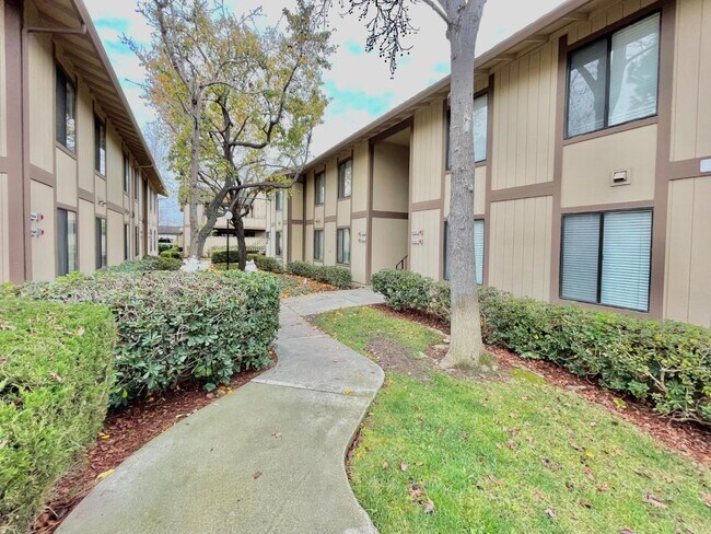 Building Photo - 6292 Joaquin Murieta Ave